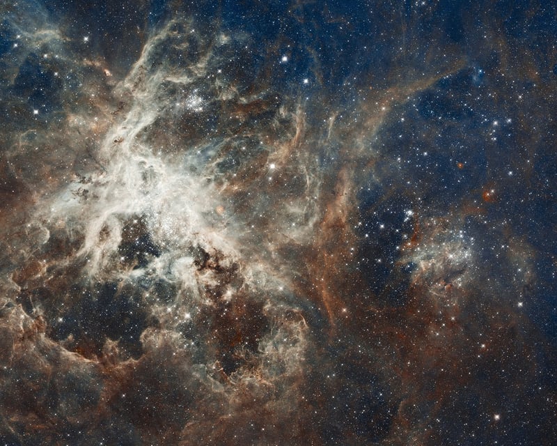 Starry Night Decor
